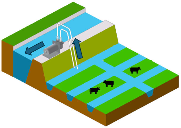 Schematic view of a polder. From areas below sea level water is pumped up to canals flowing to the sea